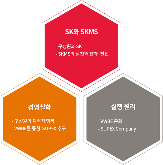 SK와 SKMS - 구성원과 SK - SKMS의 실천과 진화·발전, 경영철학 - 구성원의 지속적 행복 - VWBE를 통한  SUPEX 추구, 실행 원리 - VWBE 문화 - SUPEX Company